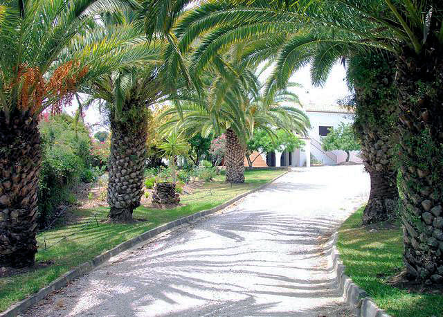 Chalet independiente en alquiler en Nerja